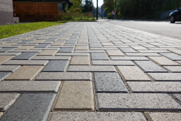 Best Residential Driveway Paver Services  in Rice, MN