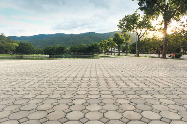 Best Local Driveway Pavers  in Rice, MN