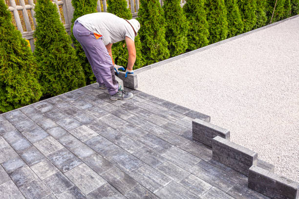 Best Driveway Paving Contractor  in Rice, MN
